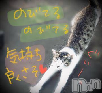 新潟デリヘル五十路マダム新潟店(カサブランカグループ)(イソジマダムニイガタテン)浅見怜(49)の2021年11月27日写メブログ「にゃぁんv」