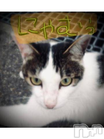 新潟デリヘル五十路マダム新潟店(カサブランカグループ)(イソジマダムニイガタテン)浅見怜(49)の2021年11月28日写メブログ「ねっこv」