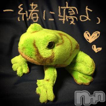 新潟デリヘル五十路マダム新潟店(カサブランカグループ)(イソジマダムニイガタテン)浅見怜(49)の2022年1月30日写メブログ「[お題]飼ってみたぃfrom:とろけるハンバーグさん」