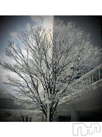 新潟デリヘル五十路マダム新潟店(カサブランカグループ)(イソジマダムニイガタテン)浅見怜(49)の2022年2月17日写メブログ「うゎぁぁぁん。。」