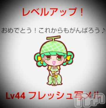 新潟デリヘル五十路マダム新潟店(カサブランカグループ)(イソジマダムニイガタテン)浅見怜(49)の2022年2月28日写メブログ「せいちょぅ。。☆」