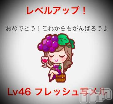 新潟デリヘル五十路マダム新潟店(カサブランカグループ)(イソジマダムニイガタテン)浅見怜(49)の2022年3月10日写メブログ「[お題]from:プーさん林家さん」