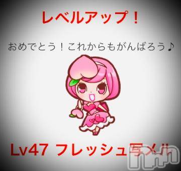 新潟デリヘル五十路マダム新潟店(カサブランカグループ)(イソジマダムニイガタテン)浅見怜(49)の2022年3月16日写メブログ「[お題]春を感じるのは…from:夜シンゴさん」