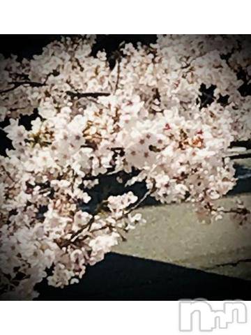 新潟デリヘル五十路マダム新潟店(カサブランカグループ)(イソジマダムニイガタテン)浅見怜(49)の2022年4月11日写メブログ「[お題]お気に入り☆from:円柱へ円柱へさん」