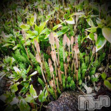 新潟デリヘル五十路マダム新潟店(カサブランカグループ)(イソジマダムニイガタテン)浅見怜(49)の2022年4月12日写メブログ「[お題]ときめき。。from:のり503さん」