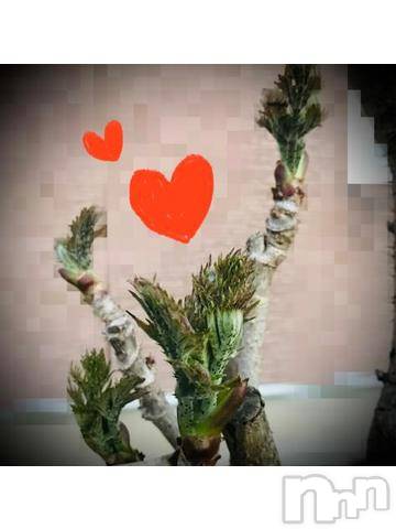 新潟デリヘル五十路マダム新潟店(カサブランカグループ)(イソジマダムニイガタテン)浅見怜(49)の2022年4月13日写メブログ「好きなのぉ。。☆」