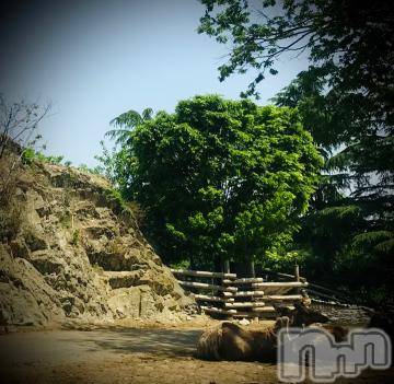 新潟デリヘル五十路マダム新潟店(カサブランカグループ)(イソジマダムニイガタテン)浅見怜(49)の2022年5月7日写メブログ「ぐっすり☆」