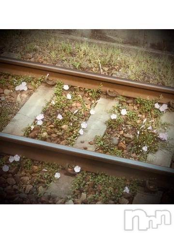 新潟デリヘル五十路マダム新潟店(カサブランカグループ)(イソジマダムニイガタテン)浅見怜(49)の2022年5月21日写メブログ「[お題]1番？！from:のりnoriさん」