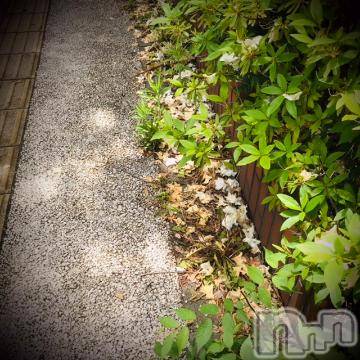 新潟デリヘル五十路マダム新潟店(カサブランカグループ)(イソジマダムニイガタテン)浅見怜(49)の2022年5月23日写メブログ「使用済みティッシュ☆」