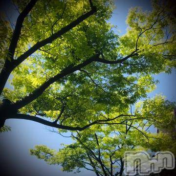 新潟デリヘル五十路マダム新潟店(カサブランカグループ)(イソジマダムニイガタテン)浅見怜(49)の2022年5月29日写メブログ「面白すぎる。。」