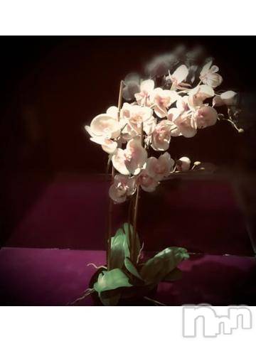 新潟デリヘル五十路マダム新潟店(カサブランカグループ)(イソジマダムニイガタテン)浅見怜(49)の2022年6月23日写メブログ「[お題]恋愛対象☆from:くりちゃんさん」