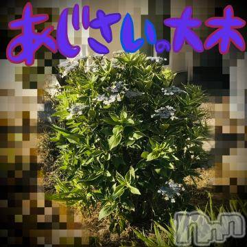 新潟デリヘル五十路マダム新潟店(カサブランカグループ)(イソジマダムニイガタテン)浅見怜(49)の2022年7月11日写メブログ「[お題]バイトぉ☆from:レッドキャッスルさん」