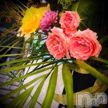 新潟デリヘル五十路マダム新潟店(カサブランカグループ)(イソジマダムニイガタテン)浅見怜(49)の2022年7月12日写メブログ「[お題]from:エロおやじ青下さん」