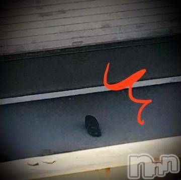 新潟デリヘル五十路マダム新潟店(カサブランカグループ)(イソジマダムニイガタテン)浅見怜(49)の2022年8月20日写メブログ「再放送だぁぁ♪」