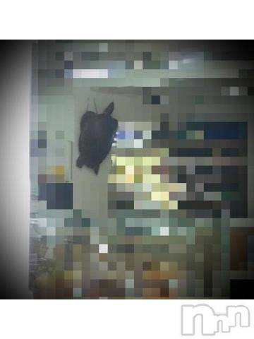 新潟デリヘル五十路マダム新潟店(カサブランカグループ)(イソジマダムニイガタテン)浅見怜(49)の2022年8月27日写メブログ「お散歩☆」