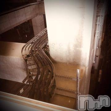 新潟デリヘル五十路マダム新潟店(カサブランカグループ)(イソジマダムニイガタテン)浅見怜(49)の2022年9月29日写メブログ「ぐねぐね。。」