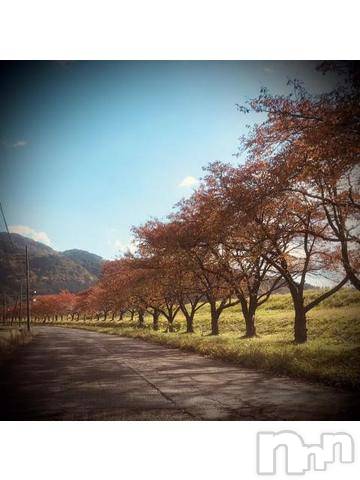 新潟デリヘル五十路マダム新潟店(カサブランカグループ)(イソジマダムニイガタテン)浅見怜(49)の2022年11月8日写メブログ「茶色ぃ並木。。」