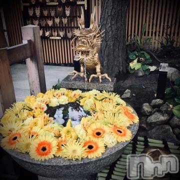 新潟デリヘル五十路マダム新潟店(カサブランカグループ)(イソジマダムニイガタテン)浅見怜(49)の2023年3月3日写メブログ「お花。。」