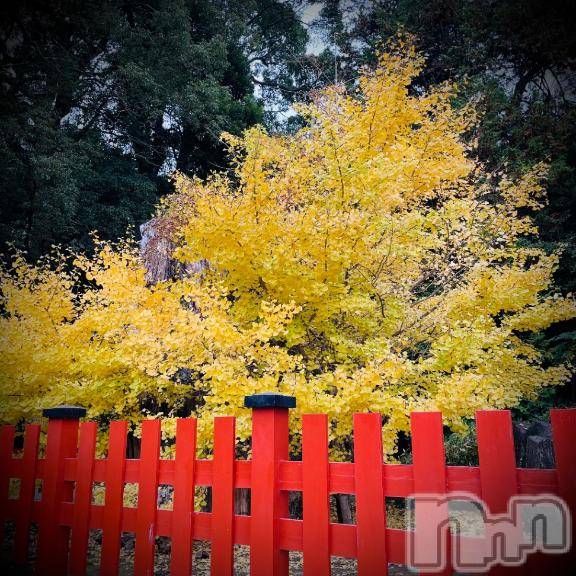 新潟デリヘル五十路マダム新潟店(カサブランカグループ)(イソジマダムニイガタテン)浅見怜(49)の2026年2月27日写メブログ「初めて過ぎる。。」