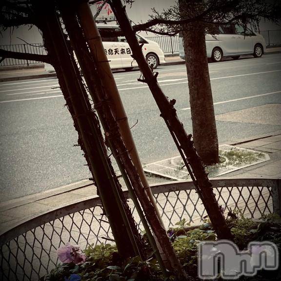 新潟デリヘル五十路マダム新潟店(カサブランカグループ)(イソジマダムニイガタテン)浅見怜(49)の2026年3月27日写メブログ「オシノコ。。」