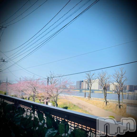 新潟デリヘル五十路マダム新潟店(カサブランカグループ)(イソジマダムニイガタテン)浅見怜(49)の2026年4月3日写メブログ「つぼみ、かなぁ。。」