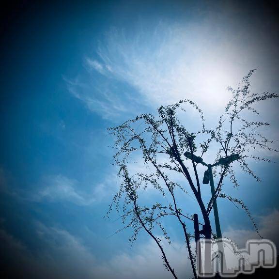 新潟デリヘル五十路マダム新潟店(カサブランカグループ)(イソジマダムニイガタテン)浅見怜(49)の2026年4月25日写メブログ「[お題]ソレは。。from:タローさん」