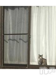 新潟デリヘル五十路マダム新潟店(カサブランカグループ)(イソジマダムニイガタテン) 浅見怜(49)の11月9日写メブログ「ねこ。」