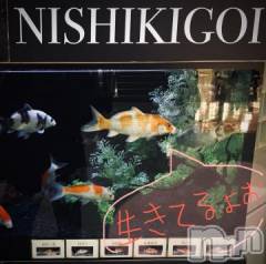 新潟デリヘル五十路マダム新潟店(カサブランカグループ)(イソジマダムニイガタテン) 浅見怜(49)の11月13日写メブログ「ぴっちぴちぃv」