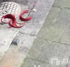 新潟デリヘル五十路マダム新潟店(カサブランカグループ)(イソジマダムニイガタテン) 浅見怜(49)の11月18日写メブログ「んもぅっ！！」