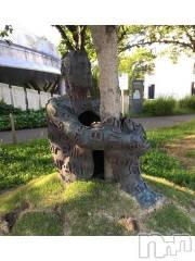 新潟デリヘル五十路マダム新潟店(カサブランカグループ)(イソジマダムニイガタテン) 浅見怜(49)の11月18日写メブログ「眠ぃ、、」