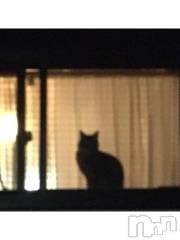 新潟デリヘル五十路マダム新潟店(カサブランカグループ)(イソジマダムニイガタテン) 浅見怜(49)の11月20日写メブログ「[お題]from:猿馬さん」