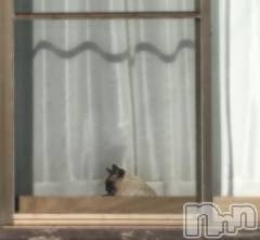 新潟デリヘル五十路マダム新潟店(カサブランカグループ)(イソジマダムニイガタテン) 浅見怜(49)の11月21日写メブログ「わぁん。。(;_;)」