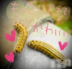 新潟デリヘル五十路マダム新潟店(カサブランカグループ)(イソジマダムニイガタテン) 浅見怜(49)の11月22日写メブログ「虫嫌いな人、ゴメンねぇ。。」