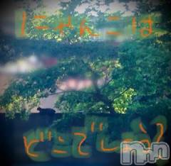 新潟デリヘル五十路マダム新潟店(カサブランカグループ)(イソジマダムニイガタテン) 浅見怜(49)の11月26日写メブログ「[お題]from:ビンビン太郎さん」