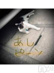 新潟デリヘル五十路マダム新潟店(カサブランカグループ)(イソジマダムニイガタテン) 浅見怜(49)の11月28日写メブログ「ピーン！」