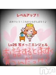 新潟デリヘル五十路マダム新潟店(カサブランカグループ)(イソジマダムニイガタテン) 浅見怜(49)の12月19日写メブログ「最近は。。。」