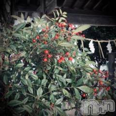 新潟デリヘル五十路マダム新潟店(カサブランカグループ)(イソジマダムニイガタテン) 浅見怜(49)の1月15日写メブログ「[お題]お正月ぅfrom:変態パンストPちゃんさん」