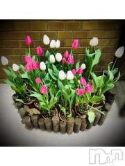 新潟デリヘル五十路マダム新潟店(カサブランカグループ)(イソジマダムニイガタテン) 浅見怜(49)の2月3日写メブログ「[お題]お願いごと？？from:井上パンダさん」