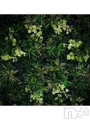 新潟デリヘル五十路マダム新潟店(カサブランカグループ)(イソジマダムニイガタテン) 浅見怜(49)の2月12日写メブログ「[お題]『美』意識☆from:yamato103さん」