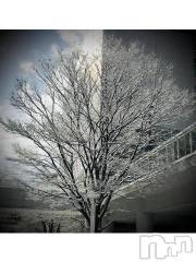 新潟デリヘル五十路マダム新潟店(カサブランカグループ)(イソジマダムニイガタテン) 浅見怜(49)の2月17日写メブログ「うゎぁぁぁん。。」