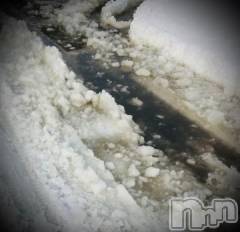 新潟デリヘル五十路マダム新潟店(カサブランカグループ)(イソジマダムニイガタテン) 浅見怜(49)の2月18日写メブログ「みずたまり。。」