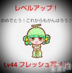 新潟デリヘル五十路マダム新潟店(カサブランカグループ)(イソジマダムニイガタテン) 浅見怜(49)の2月28日写メブログ「せいちょぅ。。☆」