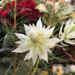 新潟デリヘル五十路マダム新潟店(カサブランカグループ)(イソジマダムニイガタテン) 浅見怜(49)の3月7日写メブログ「今日はさぁ。。」