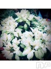 新潟デリヘル五十路マダム新潟店(カサブランカグループ)(イソジマダムニイガタテン) 浅見怜(49)の3月10日写メブログ「シンデレラ。。☆」