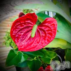 新潟デリヘル五十路マダム新潟店(カサブランカグループ)(イソジマダムニイガタテン) 浅見怜(49)の3月12日写メブログ「[お題]クチコミ。。from:ブー×2さん」