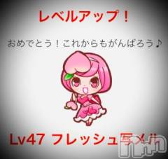 新潟デリヘル五十路マダム新潟店(カサブランカグループ)(イソジマダムニイガタテン) 浅見怜(49)の3月16日写メブログ「[お題]春を感じるのは…from:夜シンゴさん」