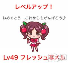 新潟デリヘル五十路マダム新潟店(カサブランカグループ)(イソジマダムニイガタテン) 浅見怜(49)の3月28日写メブログ「[お題]イレたくなぃ。。from:わんわんのしつけ方さん」