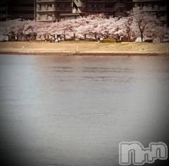 新潟デリヘル五十路マダム新潟店(カサブランカグループ)(イソジマダムニイガタテン) 浅見怜(49)の4月12日写メブログ「ぅぅぅ。。」
