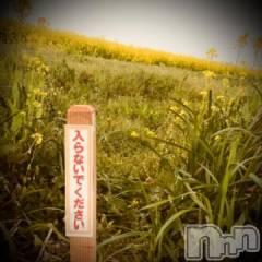 新潟デリヘル五十路マダム新潟店(カサブランカグループ)(イソジマダムニイガタテン) 浅見怜(49)の4月23日写メブログ「初めて見たっっ！！」