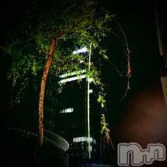 新潟デリヘル五十路マダム新潟店(カサブランカグループ)(イソジマダムニイガタテン) 浅見怜(49)の5月1日写メブログ「おはょ。。にゃぁん。。」